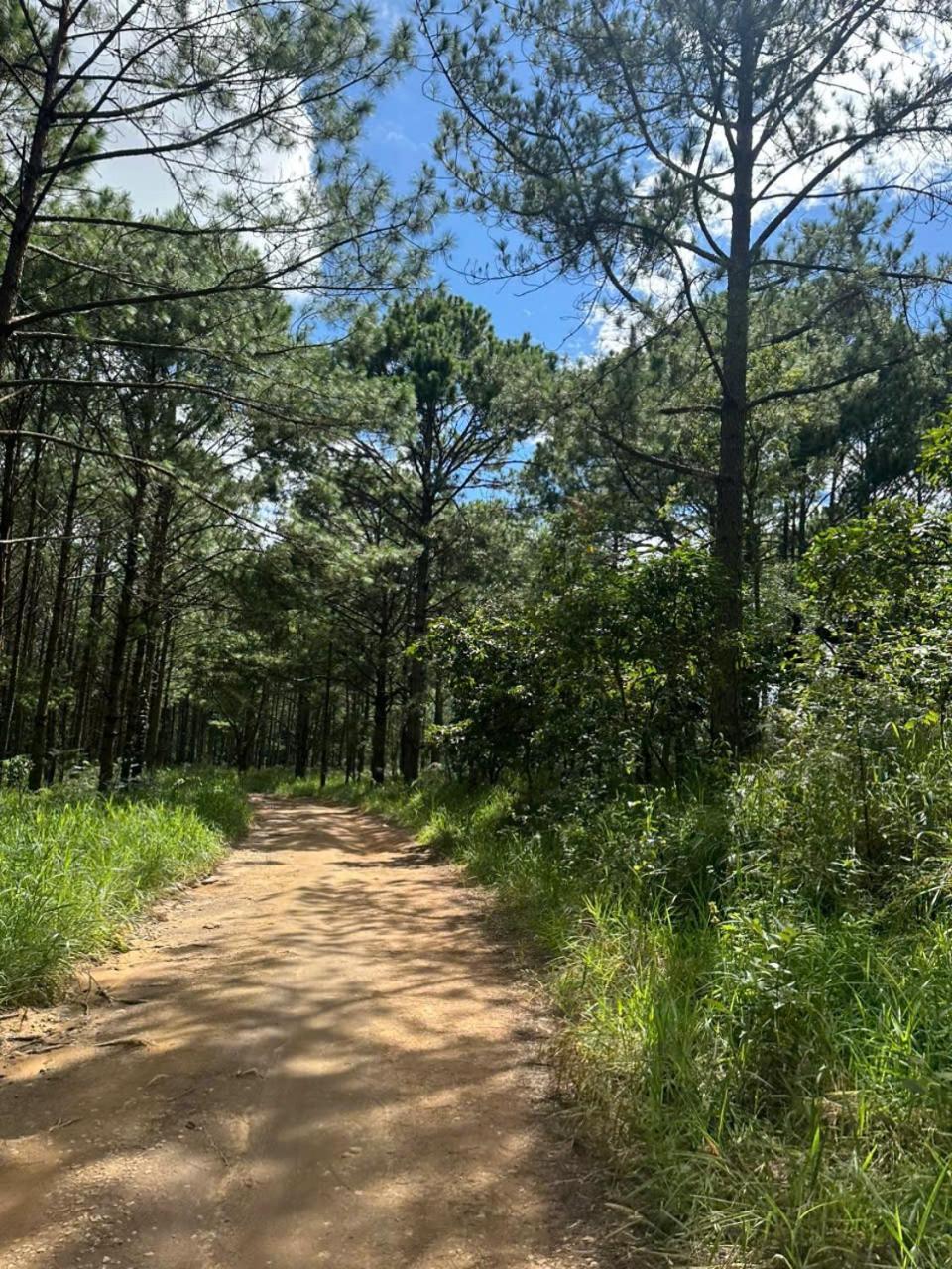 Coco 2 Otel Da Lat Dış mekan fotoğraf