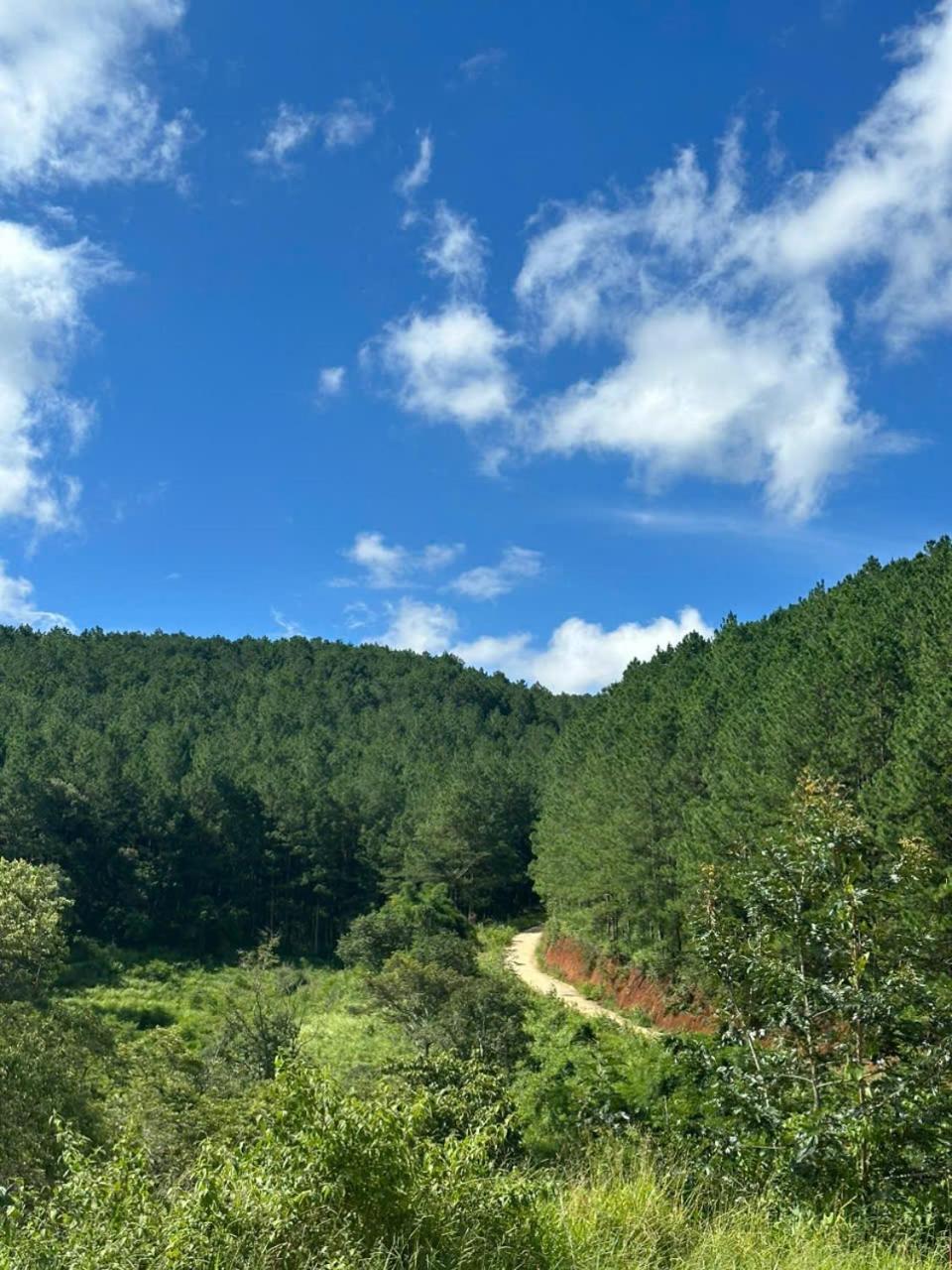Coco 2 Otel Da Lat Dış mekan fotoğraf