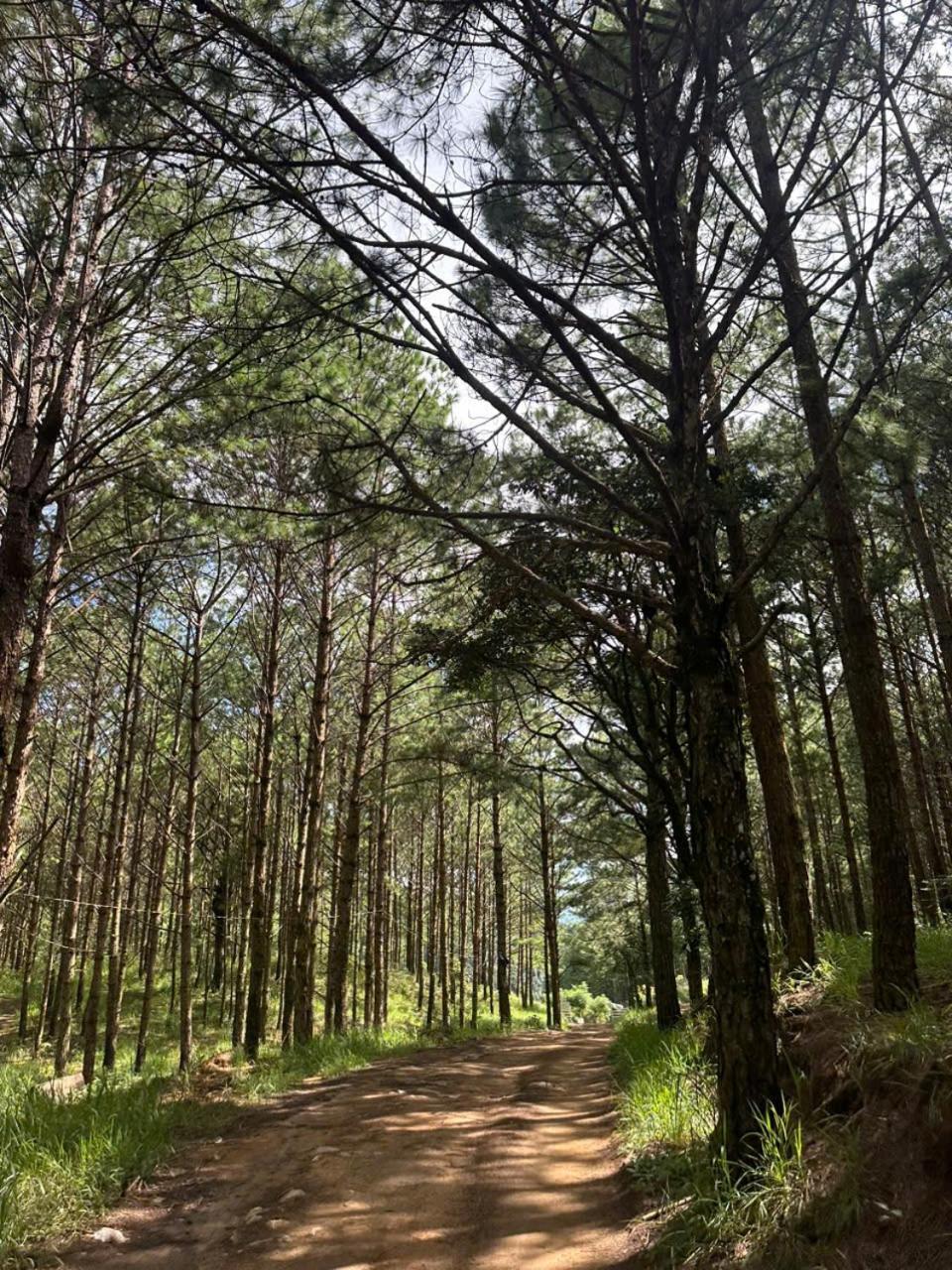 Coco 2 Otel Da Lat Dış mekan fotoğraf