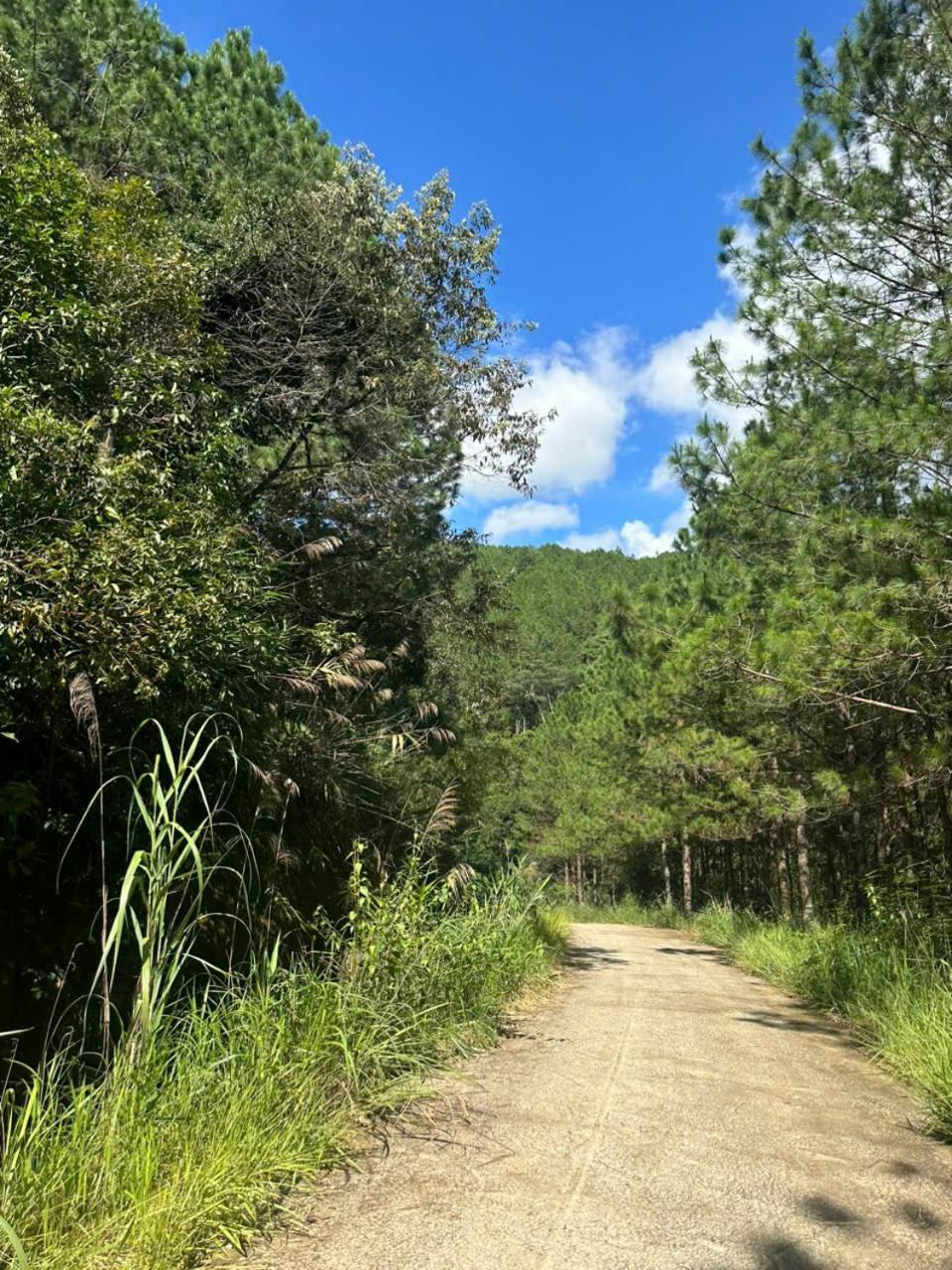 Coco 2 Otel Da Lat Dış mekan fotoğraf