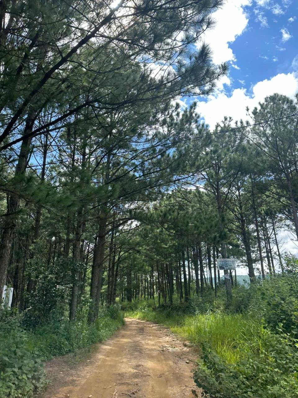 Coco 2 Otel Da Lat Dış mekan fotoğraf